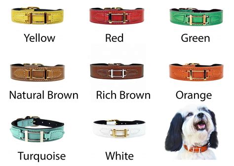 replica hermes dog collar and leash|Hermes equestrian dog collars.